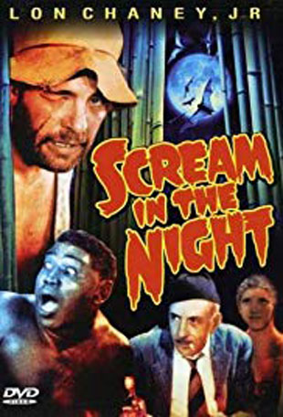A Scream In The Night