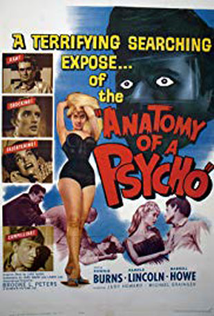 Anatomy Of A Psycho
