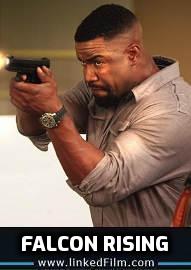 Falcon Rising