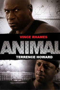 Animal